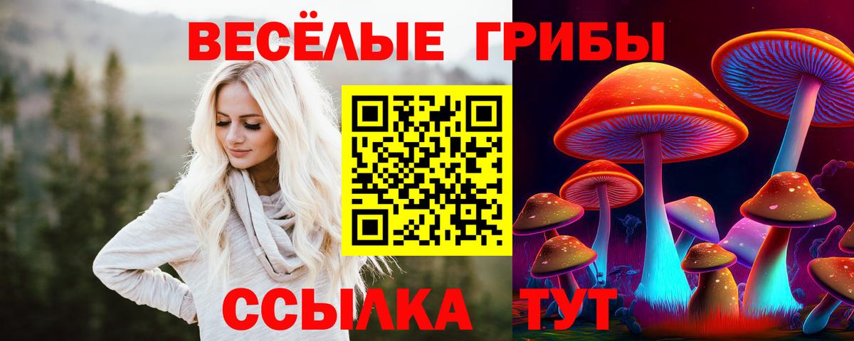 Псилоцибиновые грибы MAGIC MUSHROOMS  дарнет шоп  Арсеньев  Вход с VPN 